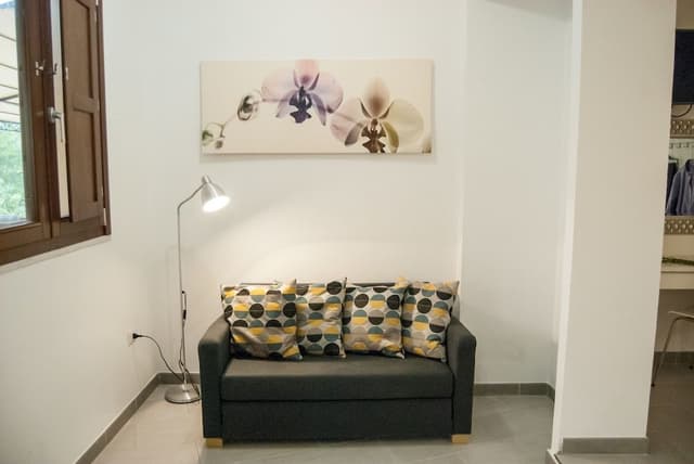 Classic Studio, Garden View (1 letto queen+1 letto a castello)