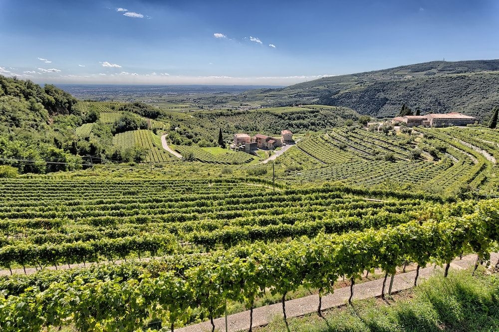 Valpolicella International2