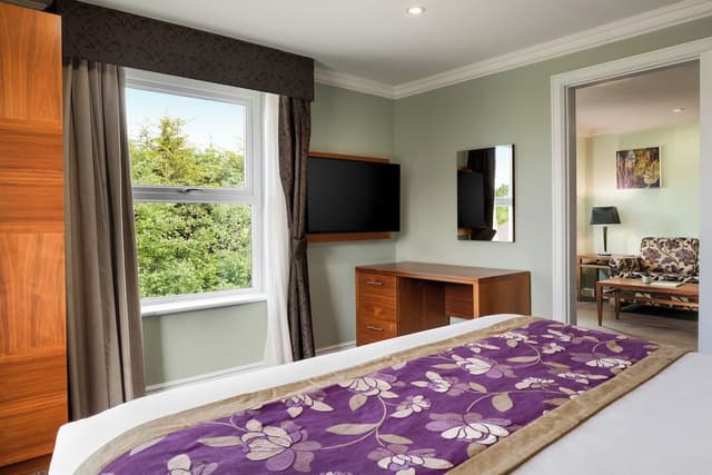 Suite, 1 King Bed with Sofa bed, Non Smoking