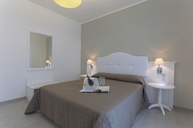 Junior Suite (Exclusive)