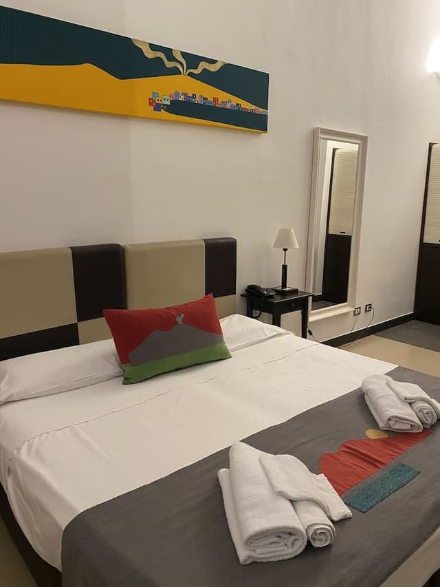 Standard Double Room Single Use (Internal view)