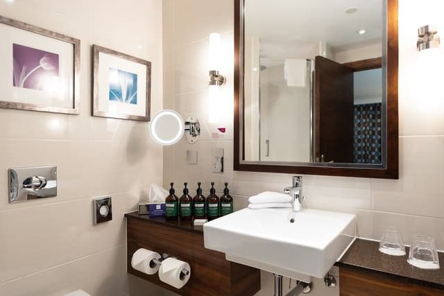 Premium Room, 1 King Bed, Club Lounge Access