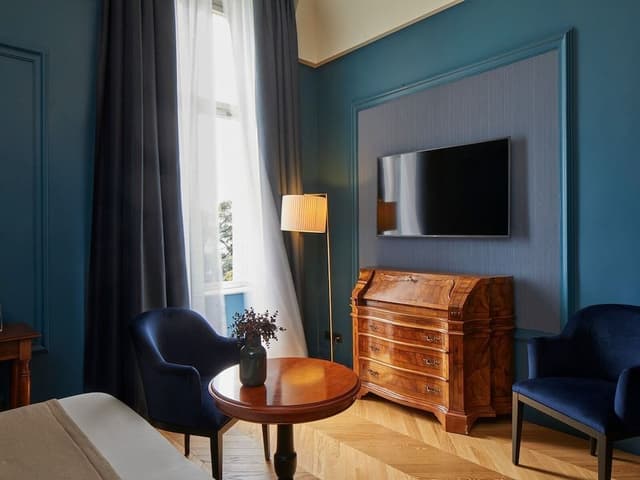 Double Executive Room (lake view)