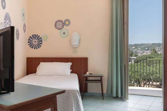 Superior Single Room, 1 Large Twin Bed