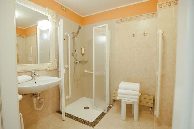 Classic Room, 1 King Bed with Sofa bed