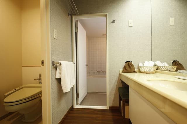 Superior Twin Room, Smoking