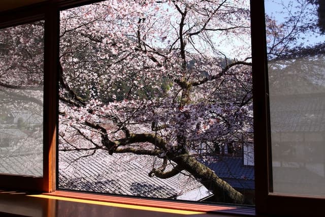 Various layout Simple Japanese Style Room