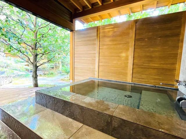 Japanese Western Style Suite non smoking