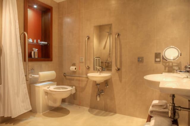 Standard Room, 1 King Bed, Accessible