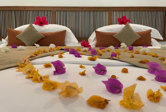 Executive Villa Suite