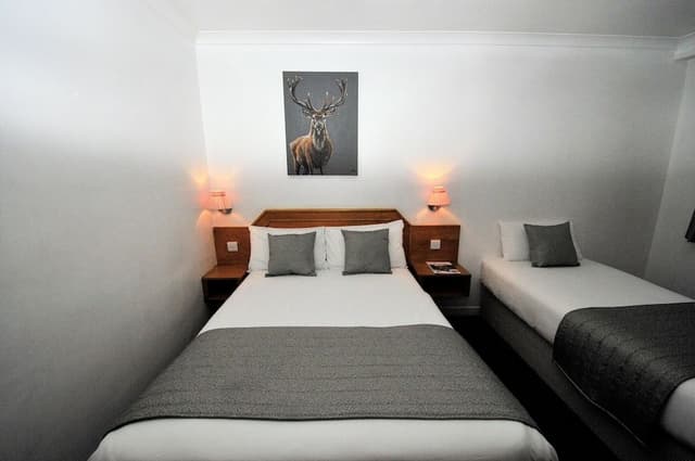Room, Multiple Beds, Non Smoking