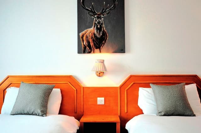 Room, 1 Twin Bed, Accessible, Non Smoking