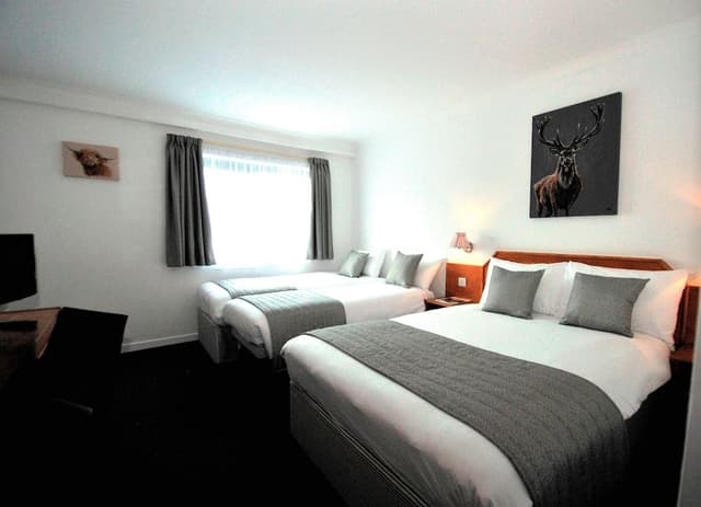 Room, Multiple Beds, Non Smoking