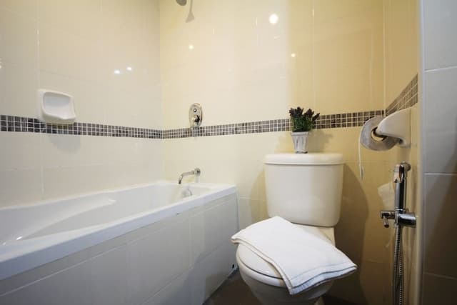 Premier Deluxe Room (Twin)