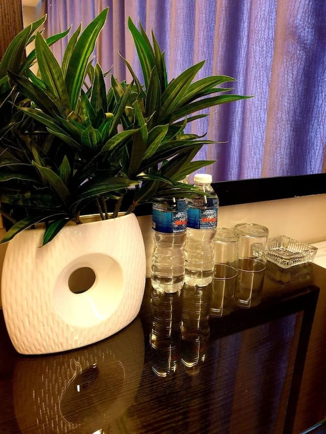 Premier Room