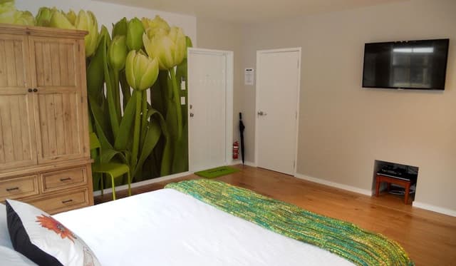 Premium Apartment, 1 King Bed, Kitchenette, Courtyard Area