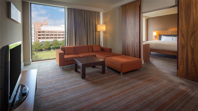 KING EXECUTIVE SUITE WITH PARK VIEW