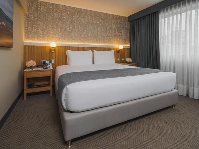 Habitación Superior con cama extragrande