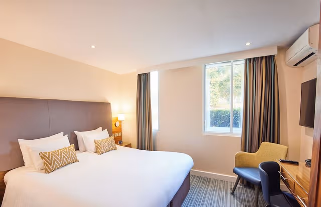 Executive Double Room, 1 King Bed with Sofa bed