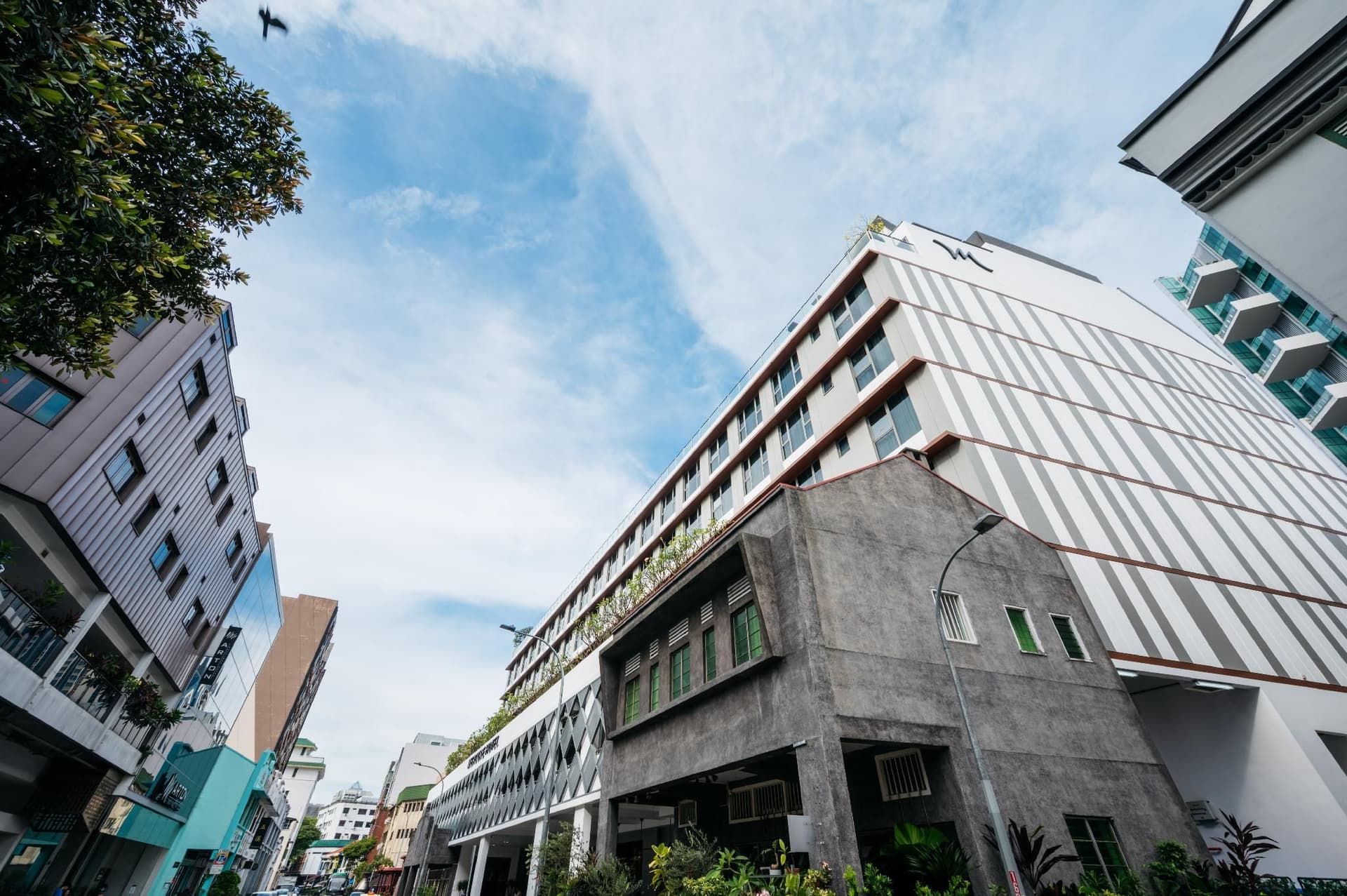 Mercure Singapore Tyrwhitt Mercure Singapore Tyrwhitt