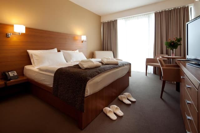 Executive room Aquapark included