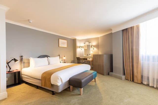 Suite, 1 King Bed with Sofa bed