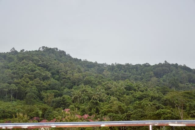 Superior Triple Room, Multiple Beds, Mountain View