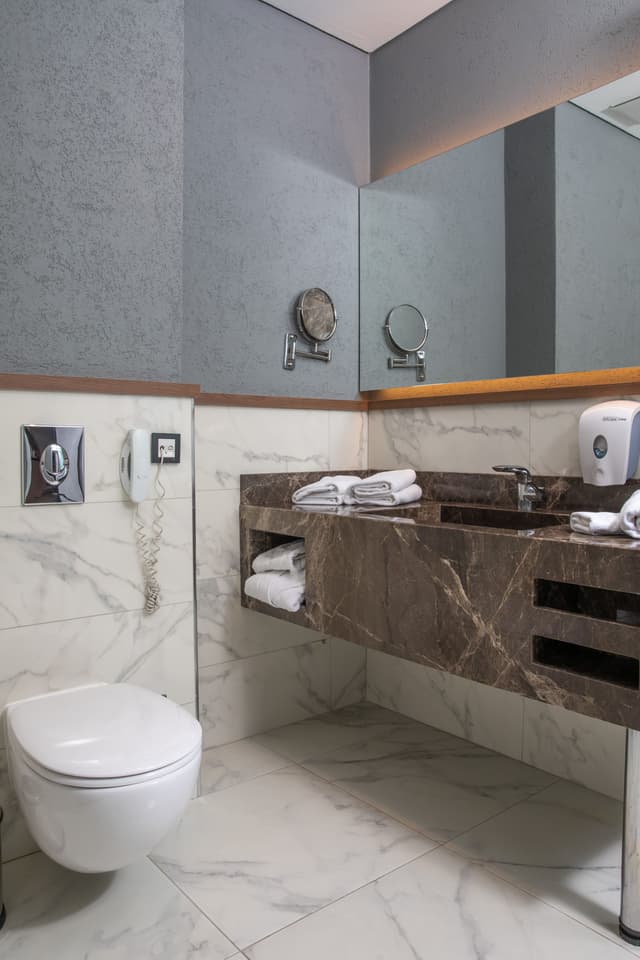 Deluxe Suite Room