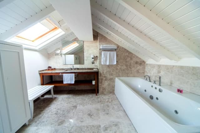 Deluxe Roof Suite