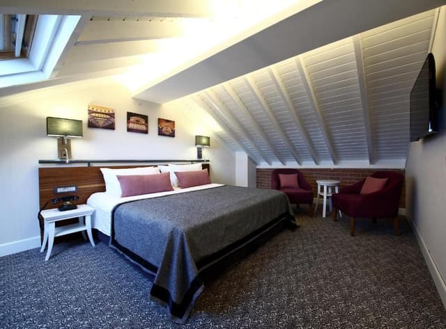 Deluxe Roof Suite