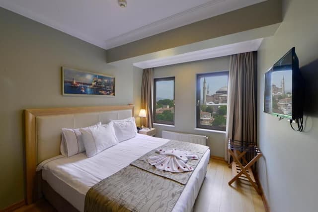 Deluxe Double or Twin Room with Hagia Sophia View