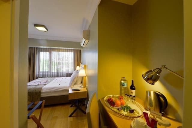 Deluxe Double or Twin Room with Hagia Sophia View