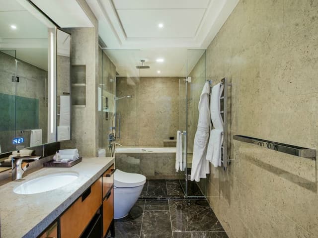 Premier Shard Suite