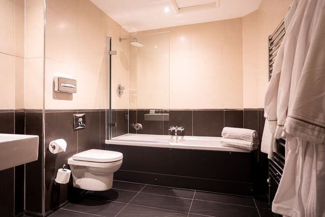 Executive Suite, 1 King Bed