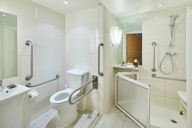 Deluxe Room, 1 King Bed