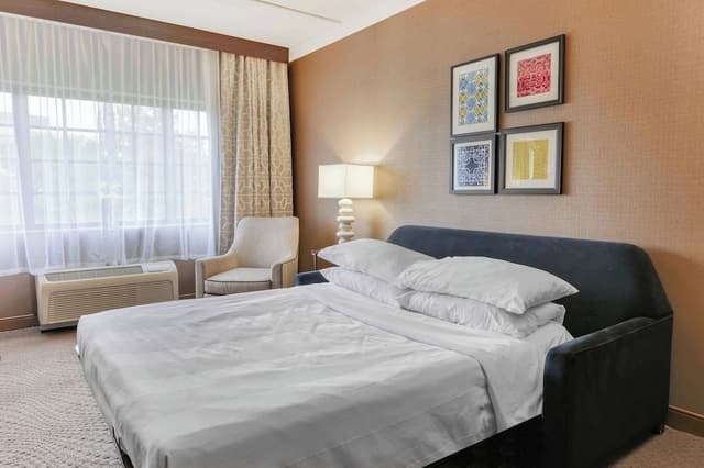 Suite, 1 King Bed with Sofa bed, Corner