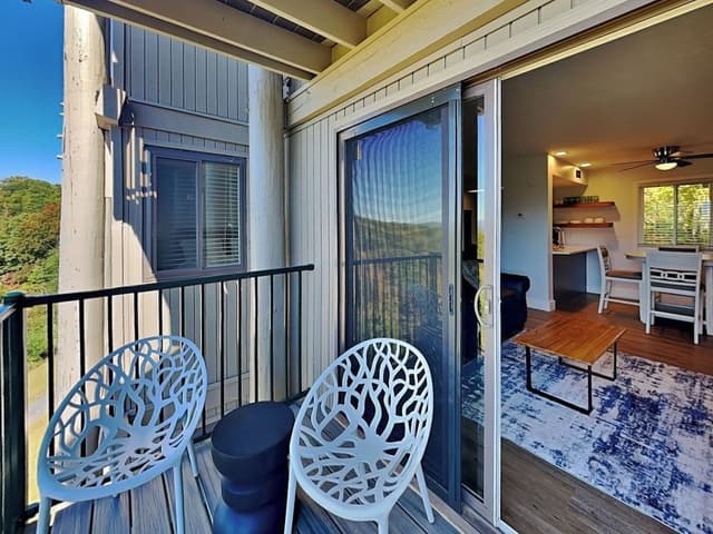 Condo (1 Bedroom)