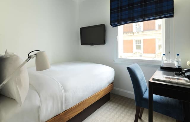 Superior Single Room