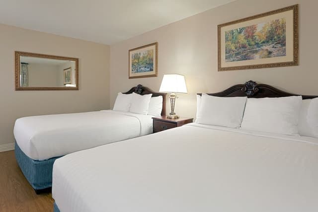 Inn - Deluxe Queen with Mountain and Water Park View