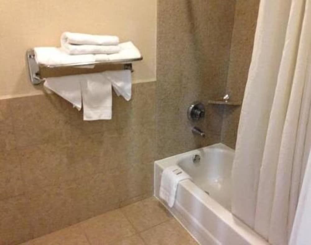 Downtowner Inn and Suites Hobby4