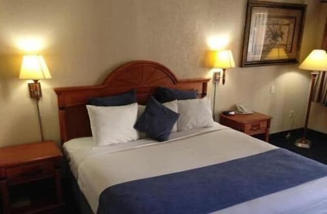 Suite, 1 King Bed, Non Smoking