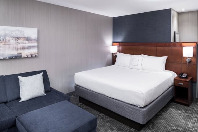 Room, 1 King Bed with Sofa bed