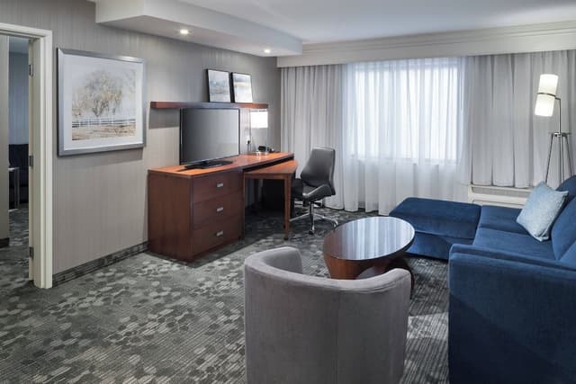 Room, 1 King Bed with Sofa bed