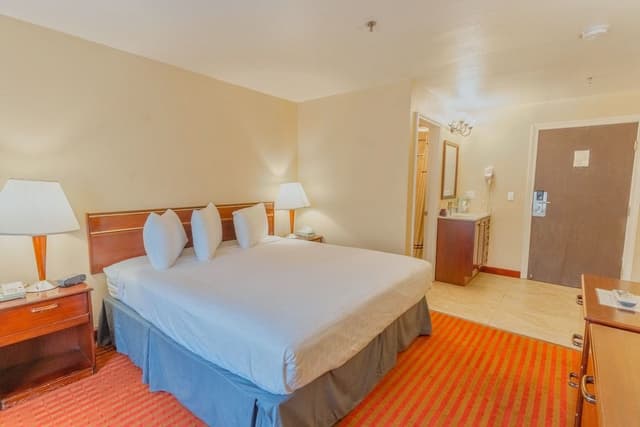 Standard Single Room, 1 King Bed