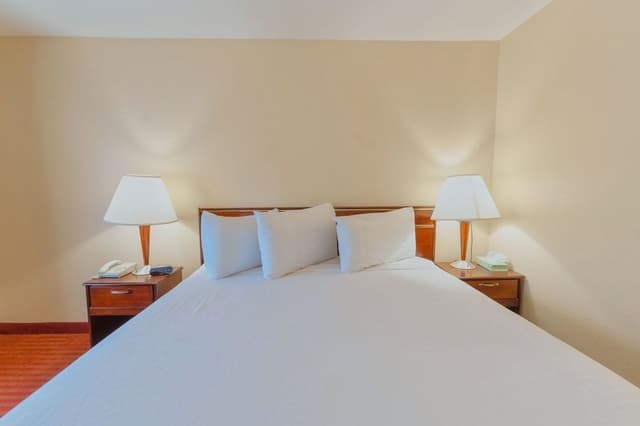 Standard Single Room, 1 King Bed