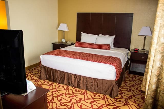 Standard Room, 1 King Bed, Accessible, Bathtub