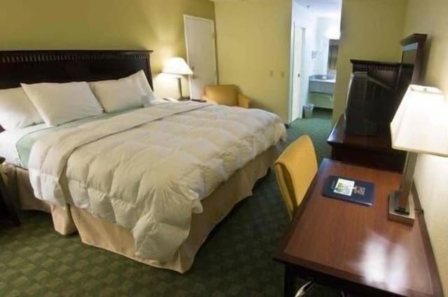 Standard Room, 1 King Bed