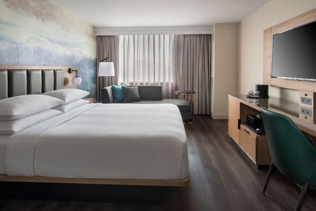 Room, 1 King Bed