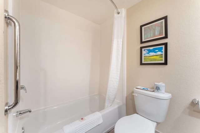 Room, 1 King Bed, Accessible, Non Smoking