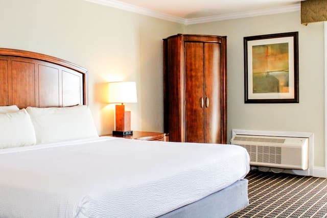 1 King Bed, Courtyard View